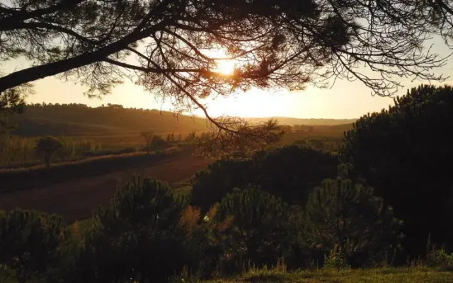 Country House Monte da Varzea