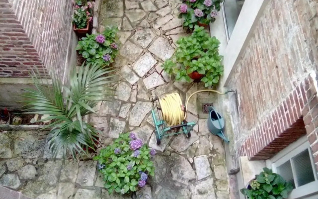 Alex Guest House