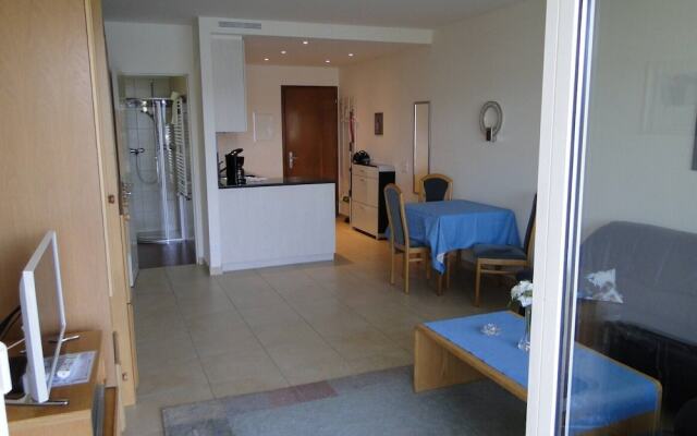 Lugano With Panorama