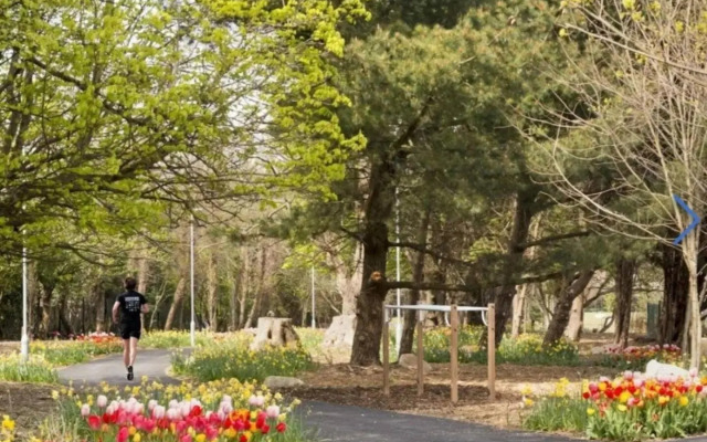 Luxury Seaview Apartment in Dun Laoghaire