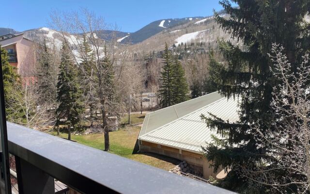 #303 Vail International