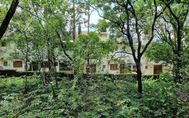 Sereno By Dancenter 1bhk Apartment In Siolim