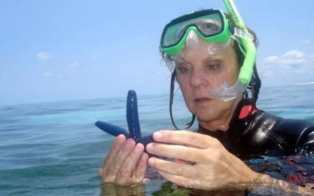 Mission Beach Shores