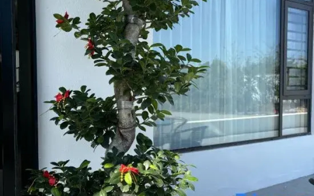 Xiang Yun Duan Homestay