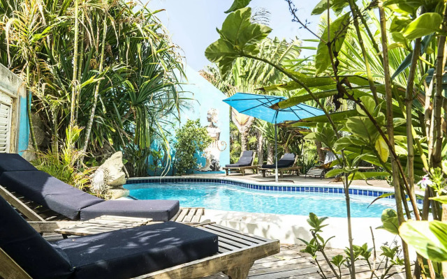 Tropical Vibes