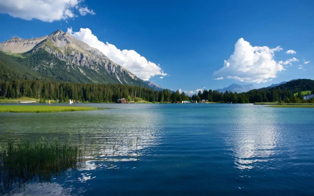 Schweizerhof Ferienwohnungen Lenzerheide 1