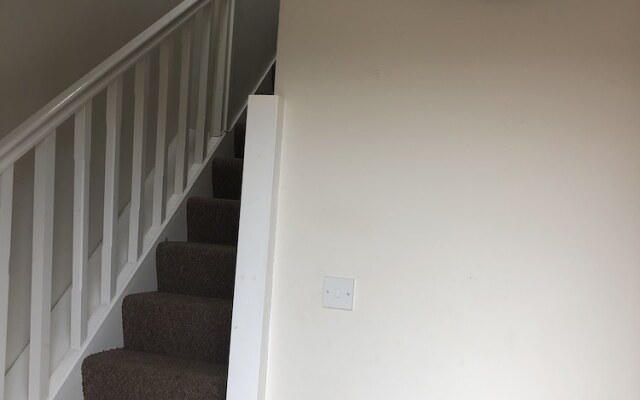 Hatfield Mews 2