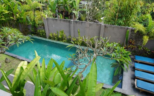 Bali Sila Bisma