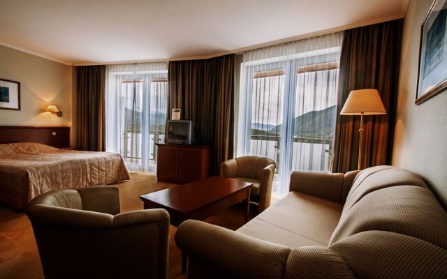 Thermal Hotel Visegrad