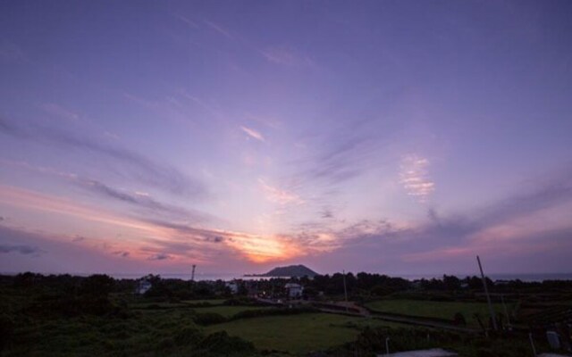 Jeju Hyeoppjae Some&ssam Guesthouse