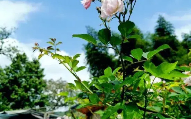Fuyun Yizhan Hostel