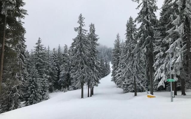 Studio Borovets in Hotel Flora