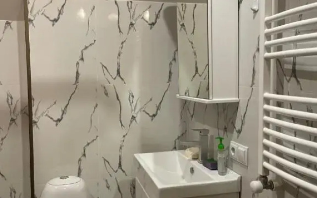 Snow Forest Bakuriani Apartment 17B