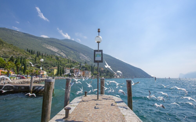 Riva Dante Apartment