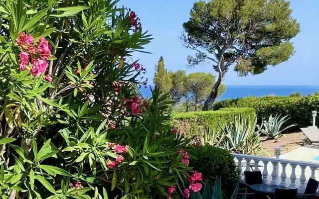 Rose Comfortable Holiday Residence