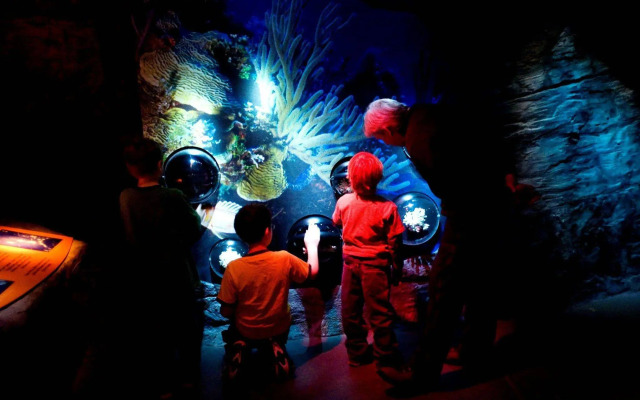 Best Western The Inn At The Fairgrounds