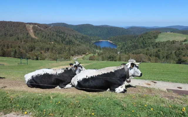 Gîte et chambres d'hôtes le Chêne