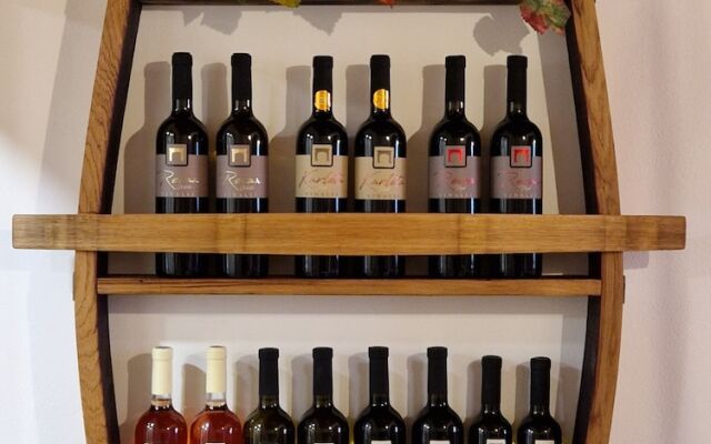 Wine & Apartment VINALES