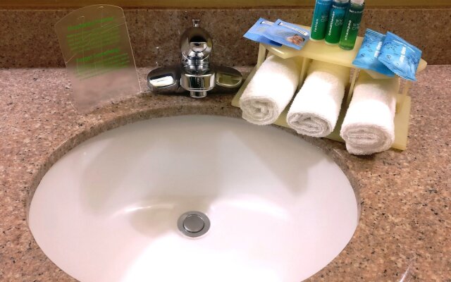 Holiday Inn Express Waller