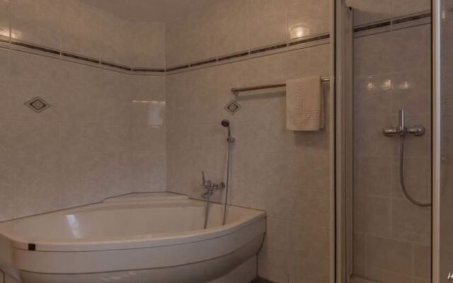 Apartment Bergfink Saas-Fee 16126