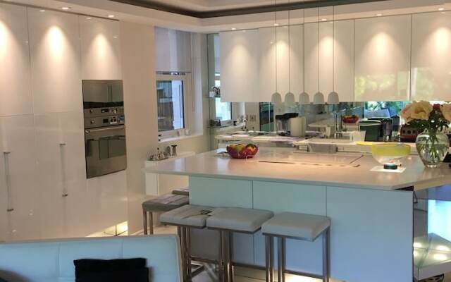 Modern Apartment in Hampstead