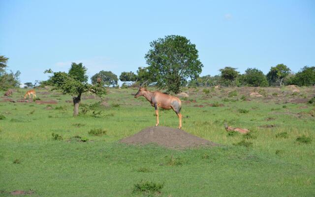 Neptune Mara Rianta Luxury Camp - All Inclusive