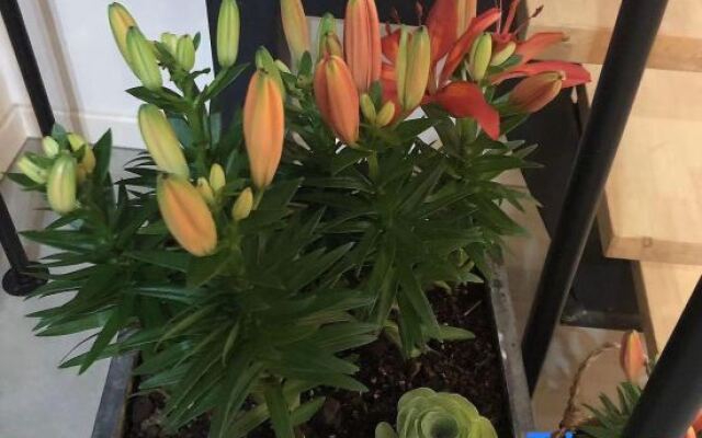 Wuxi Leisure Primary Color Inn