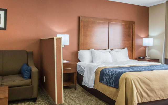 Comfort Inn Livingston