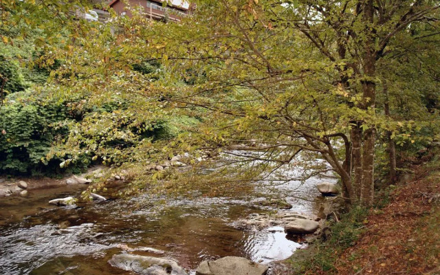 River Dream 466 By Redawning