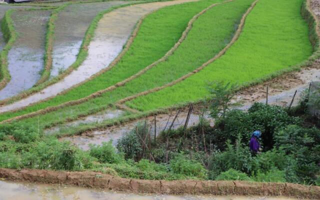 SaPa Farmer House
