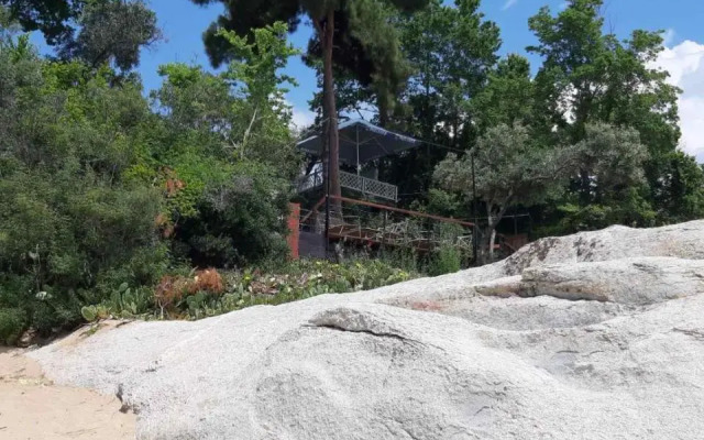 Palio Villa