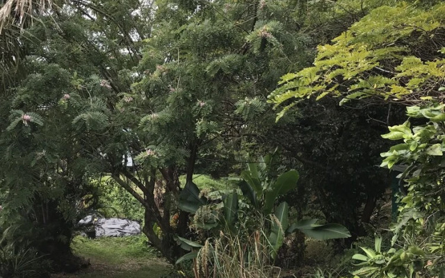 Sweet Spot Stay - Tikis and Treetops