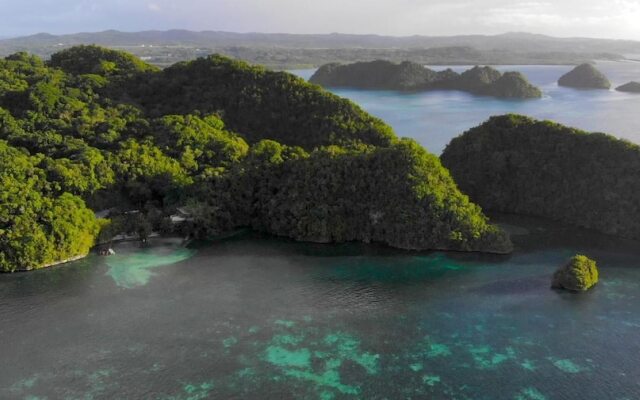 Ngellil Nature Island Resort