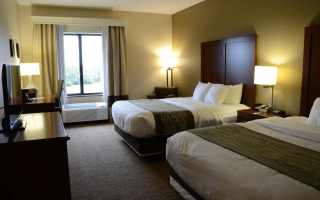 Comfort Inn & Suites Cave City