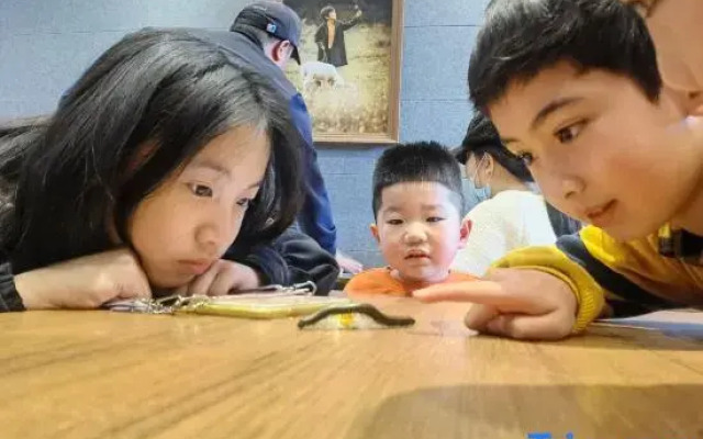 Wellbour Garden Homestay