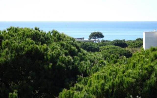 CIP V4 Vila Rustica