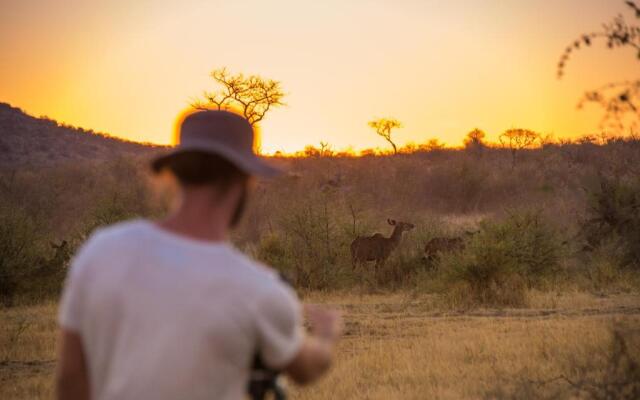 Rockfig Lodge Madikwe