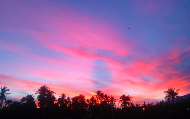 Banana Grove Backpackers Inn