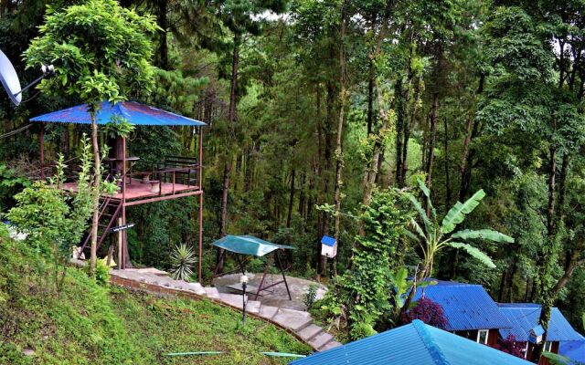 Jungle Crown Organic Homestay