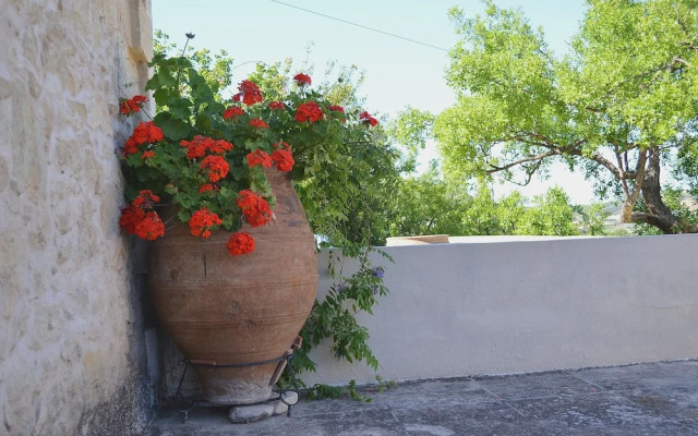 Viglatoras Traditionals Apartments