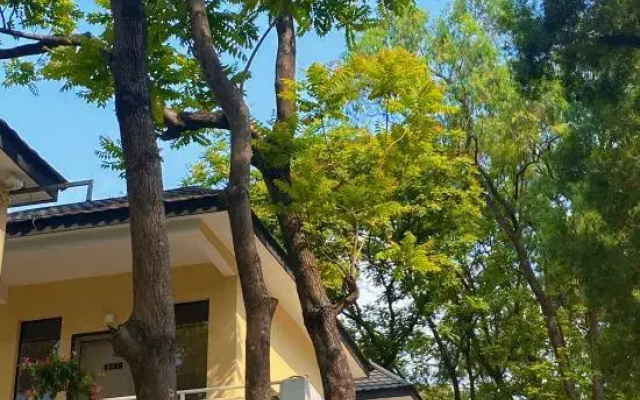 Taishan Qingyun Mountain House Homestay
