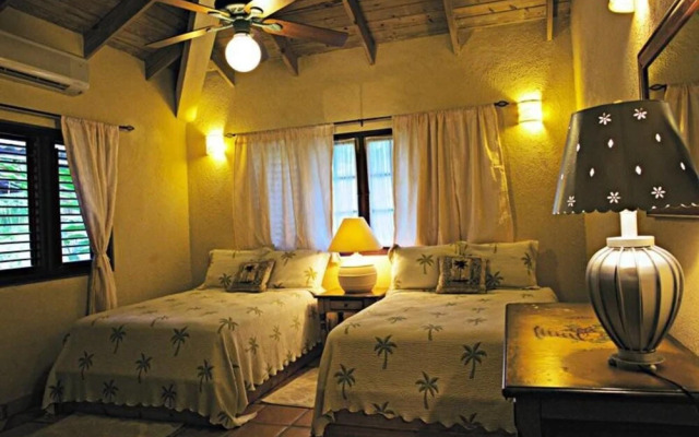 Villa Las Palmas Caribbean Family Vacation Rental