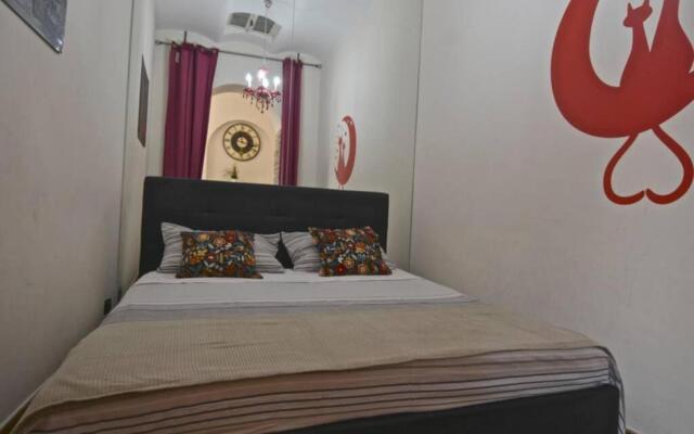 Piazza Navona Penthouse - Piazza Navona Penthouse