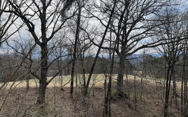 Smoky Mountain Bearadise w Pool.