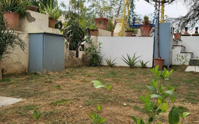 Rukiye Zara Jaipur
