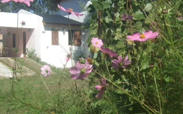 Cabañas Estancia Alpa Corral