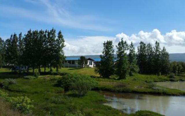 Ormurinn Guesthouse
