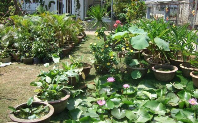 Skybird Homestay