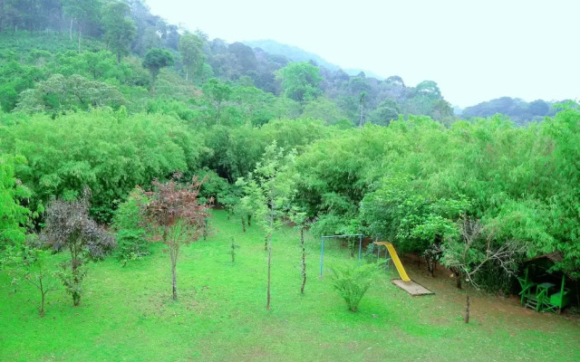 Vythiri Greens Resort
