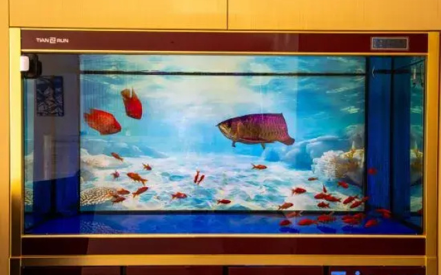 Homeinn Fairyland Hotel (Weihai Municipal Government Weigao Plaza)